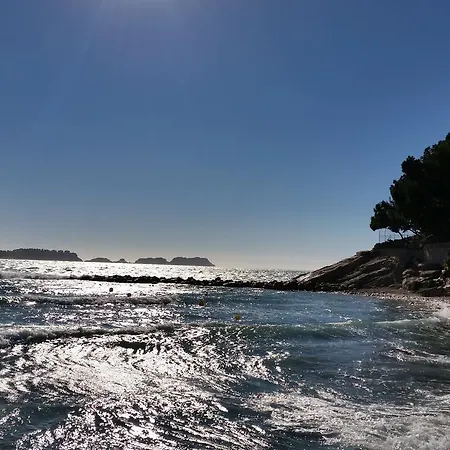 Creta Paguera فندق